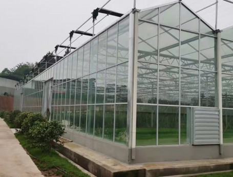 連棟玻璃溫室