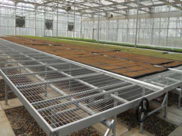 育苗床